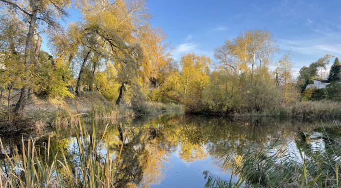 Sztárfellépők a Duna Feszt Gödön!