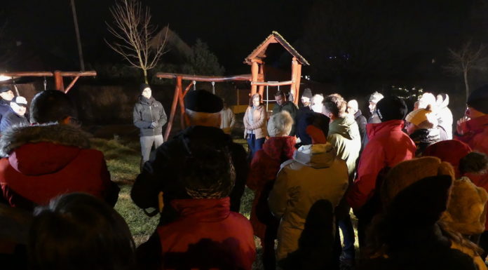 Utcafórumot tartottak Gödön a védőfásításról