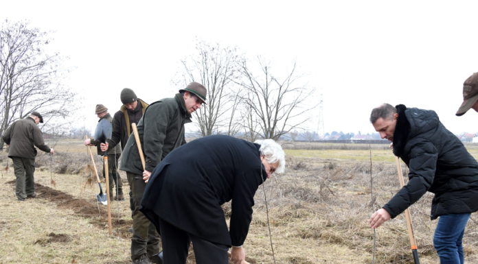 6 millió forinttal szúrták ki Göd szemét, van olyan projekt a térségben, amely 110 milliót kapott