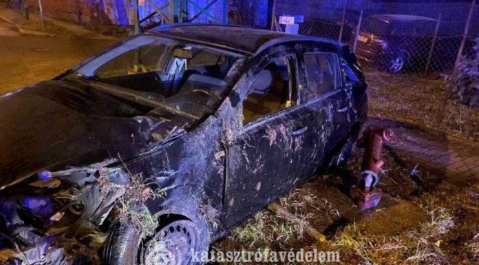 Tűzcsapot döntött ki egy autó Gödön