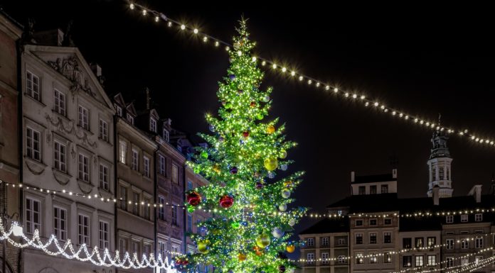 Ismerje meg a karácsonyfa történetét!