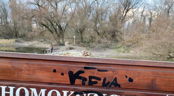 Zavarják a gödi falfirkák?