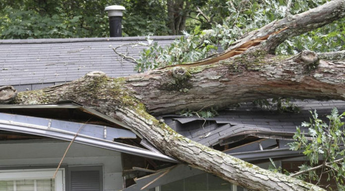 Sárga jelzés – mi a teendő szélviharban?