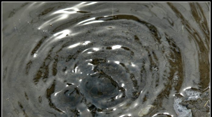 Újabb csőtörés volt Gödön