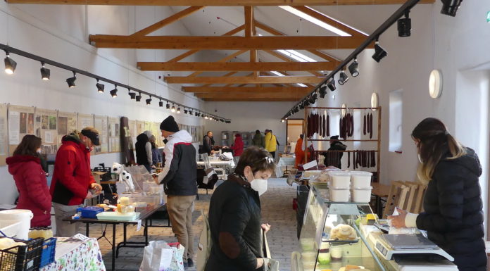 Félgőzzel indult a termelői piac