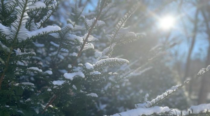 Leesett a hó, erre figyeljen az utakon!