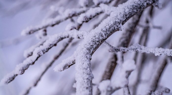 Felkészült rá? Még ma jöhet a hó