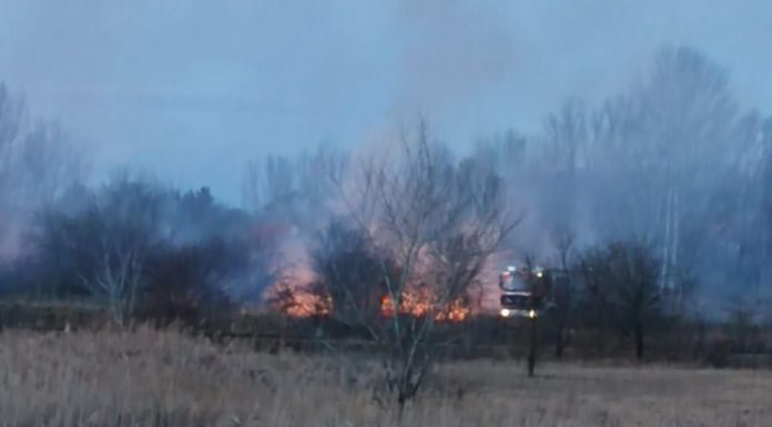 Tűz volt a gödi golfpályánál