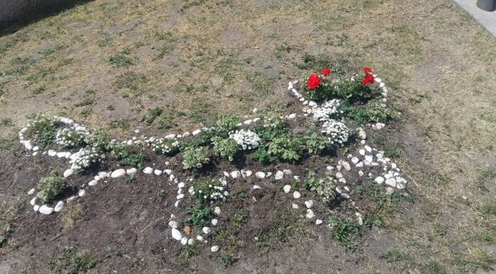 A Kétfarkú Kutya Párt jelöltjére is szavazhatunk áprilisban