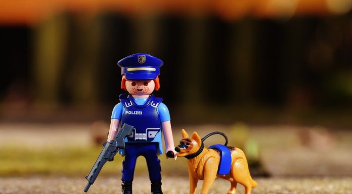 Rendőrnek adná a kutyáját? Dunakeszin megteheti