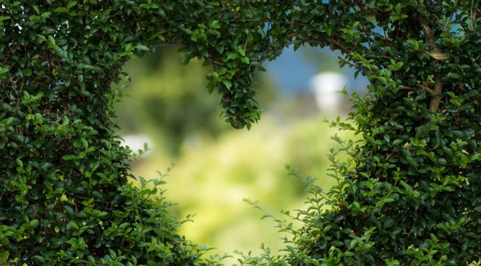 Változások a zöldhulladék begyűjtésében!