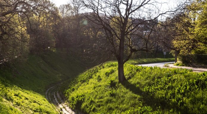 Jön az ároktakarítás, mi a teendő?