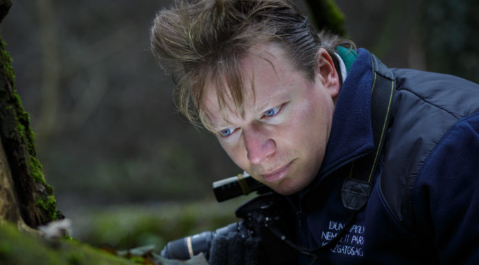 Gödre került a magyar természetfotó nagydíja