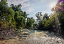 Túraútvonalak Gödön és környékén a természet szerelmeseinek