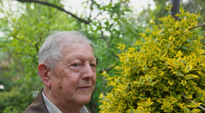 Kóczán Mór-díjat kapott Gulyás Miklós