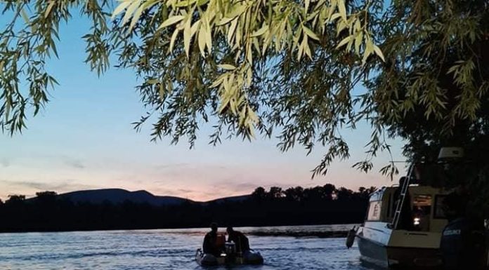 Halált okozó ittas járművezetéssel gyanúsítják a Gödnél Dunába fulladt lány barátját