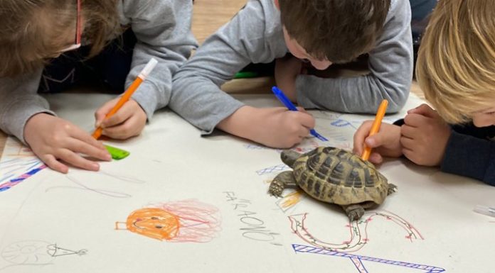 Színes májusi programkavalkád a gödi Zenit  iskolában