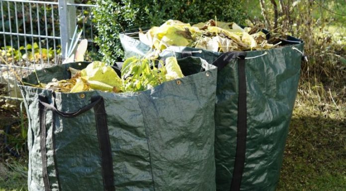 Már zajlik a zöldhulladék elszállítása Gödön