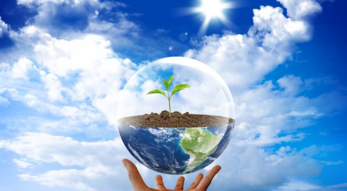 Meghirdették a 2022-es Pest megye Környezetvédelméért díjat