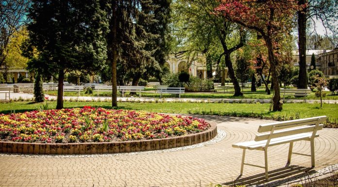 Kulturált Települési Környezetért Díj 2022-ben is