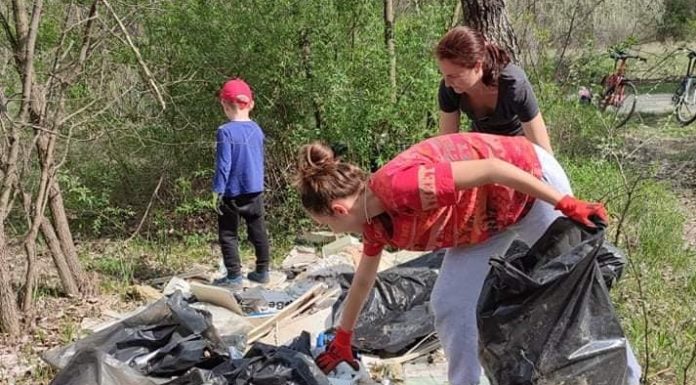 Rengeteg szemetet szedtek össze a gödiek az erdőben