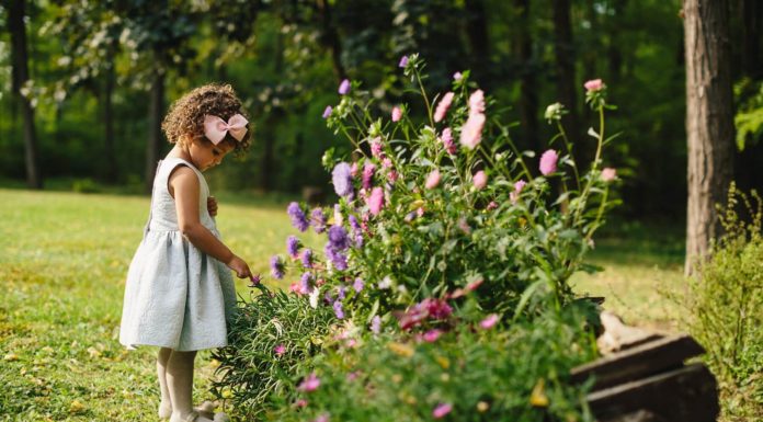 Megint keresik a legszebb Pest megyei kertet
