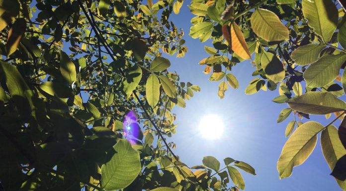 Vörös kód lépett életbe a hőség miatt