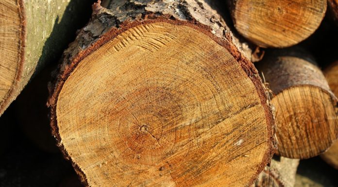 Szélhámosok járják a várost