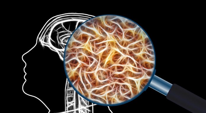 Olvasson a gondolkodás titkairól!