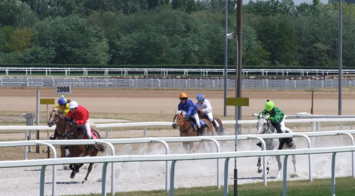 Edzője szerint őstehetség a gödi Vozár Vilma