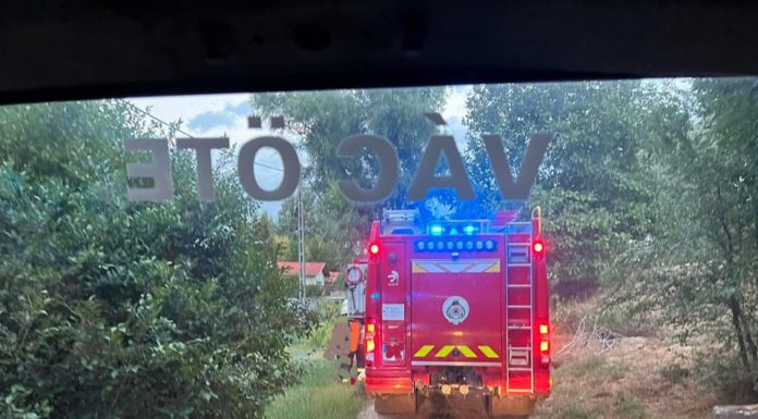 Egy fa kidőlt Gödön a Pesti úton