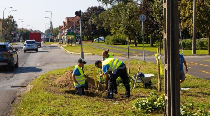 Csak óvatosan, ha Dunakeszin autózik!