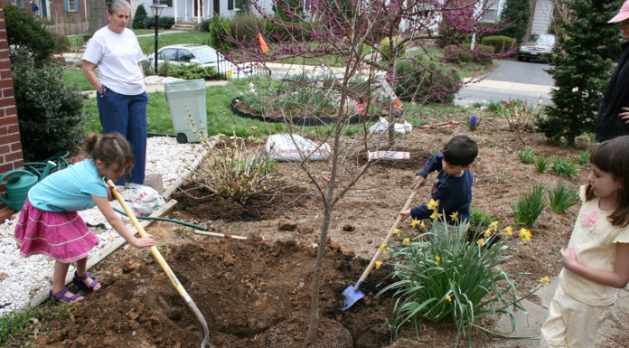 Ön is igényelhet facsemetét Gödön!