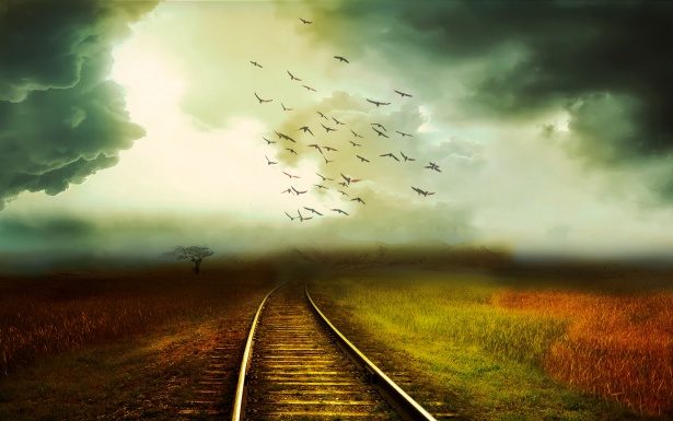 Megint gázolt a vonat a gödi vonalon