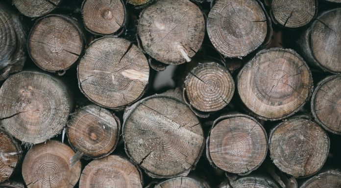 Tűzifaprogram gödi családoknak is az Ipoly Erdőnél