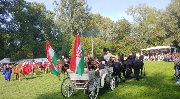 Ilyen jó a hangulat a 15. Gödi Szüreti-és Lovasfesztiválon