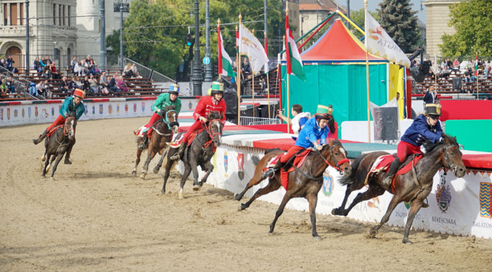 Visszalépett egy gödi versenyző a 15. Nemzeti Vágtán