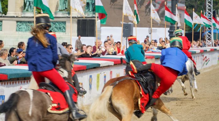 Leesett a lováról Vozár Vilma, tökéletesen kezelte a helyzetet