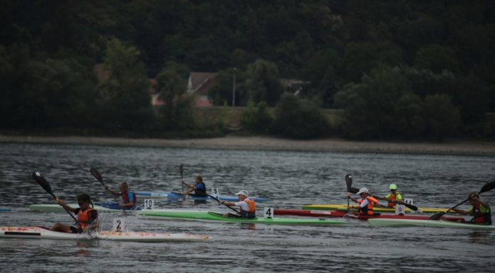 Gödi érmek a szegedi Magyar Bajnokságon
