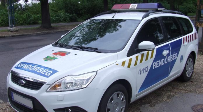 Több bűncselekményért körözték, Gödön fogták el – videó