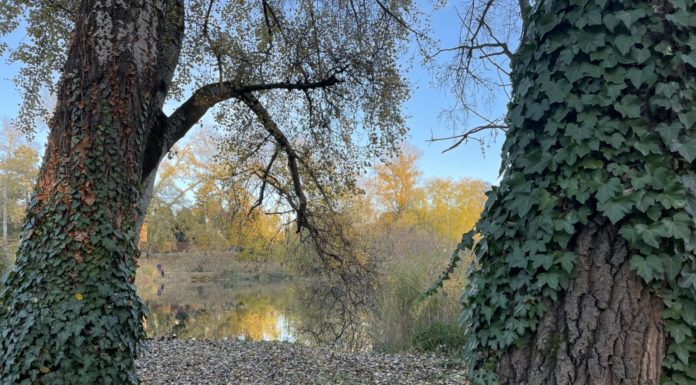 Hatalmas kormányzati támogatáshoz jutnak a hazai turisztikai vállalkozások