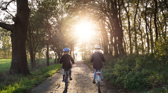 Gödöt is érinti: jöhet a Budapest-Szob kerékpárút hiányzó, újpesti szakasza