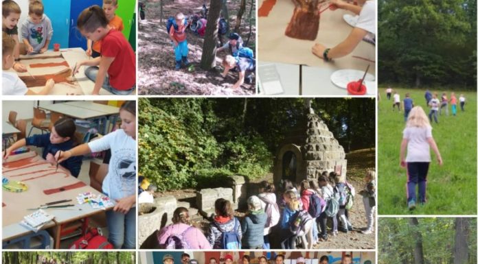 Segíthet szavazatával a gödi iskolának