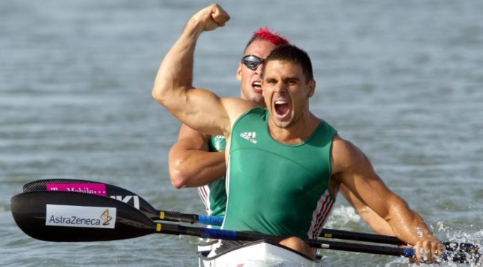 A Gödön élő Kammerer visszavonul