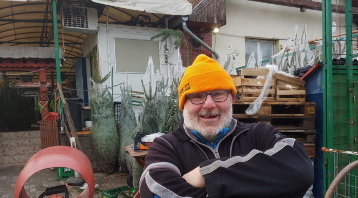 Gödi fenyőfa vásárok és árak – van, ahol még egy kupica pálinka is “jár” a fa mellé