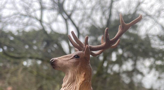 Szarvassal ütközött a vonat a szobi vonalon
