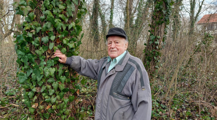 Gabi bácsi és a kiserdei bagoly