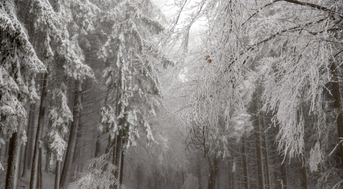 Mi a helyzet hófronton?