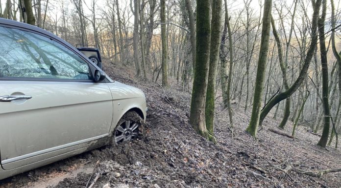 Elakadt, megmentették, most háláját fejezte ki gödi megmentőinek