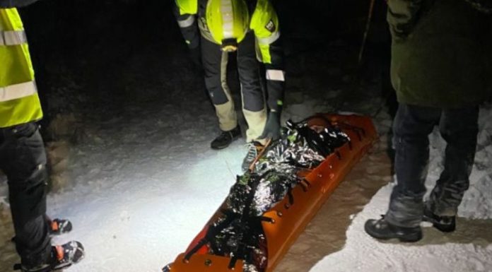 Majdnem megfagyott túrázót mentettek a gödiek által is kedvelt kirándulóhelyen